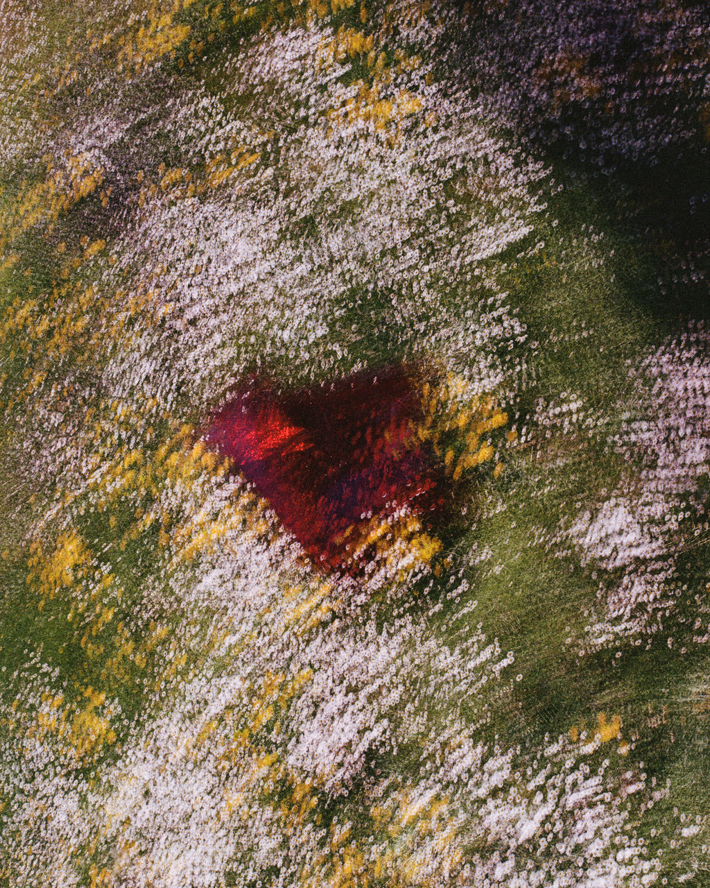 Coeur à corps